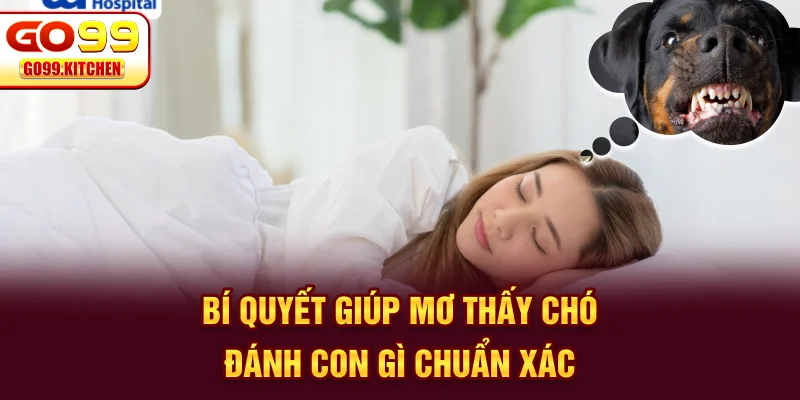 Bí quyết giúp mơ thấy chó đánh con gì chuẩn xác