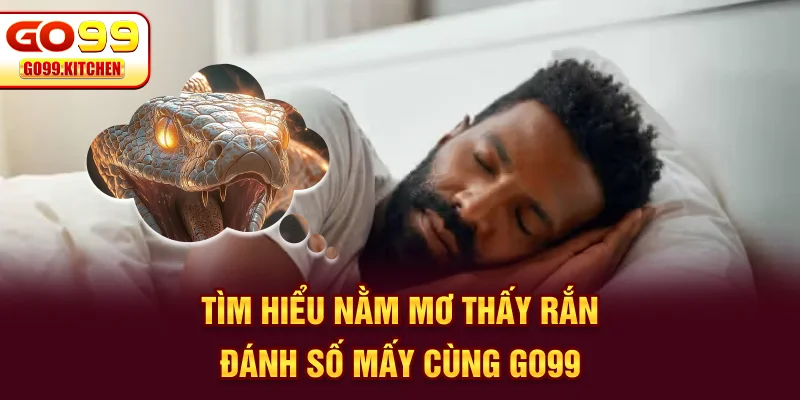 Tìm hiểu nằm mơ thấy rắn đánh số mấy cùng GO99